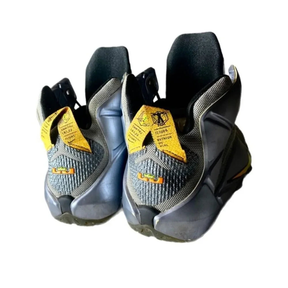 Nike LeBron 12 Flight Pack Basketball Sneakers | Style 685181-080